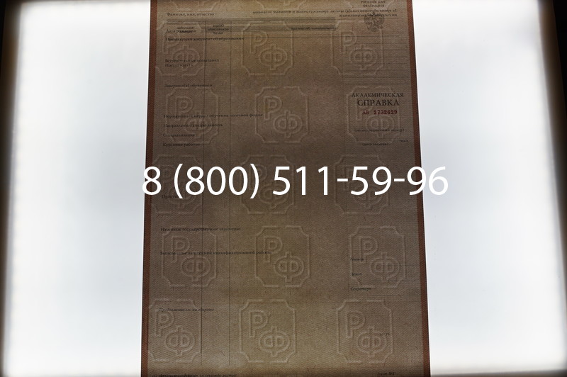 Купить Академическая справка 1996-2009 года в Санкт-Петербурге