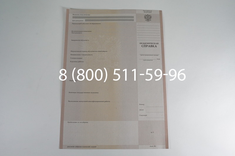 Заказать Академическая справка 1996-2009 года в Санкт-Петербурге