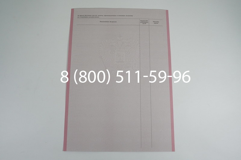 Заказать Академическая справка образца 1996-2009 год для колледжа в Санкт-Петербурге