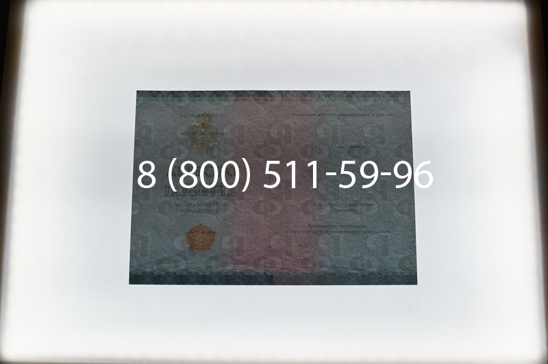 Купить Аттестат вечерней школы в Санкт-Петербурге