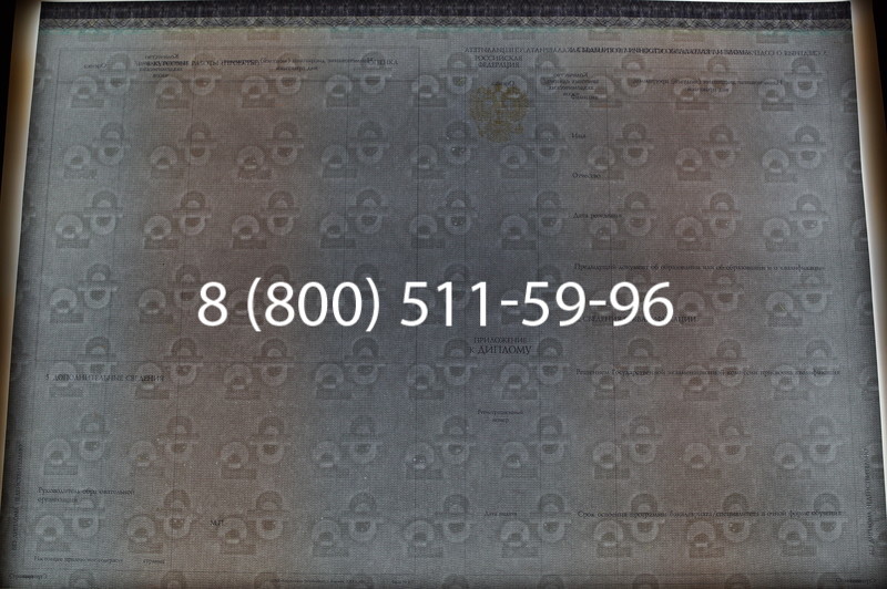Заказать Диплом бакалавра (Киржач) 2014-2026 года в Санкт-Петербурге