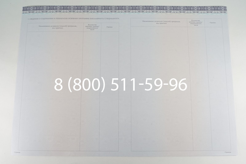 Диплом бакалавра (Киржач) 2014-2026 года в Санкт-Петербурге