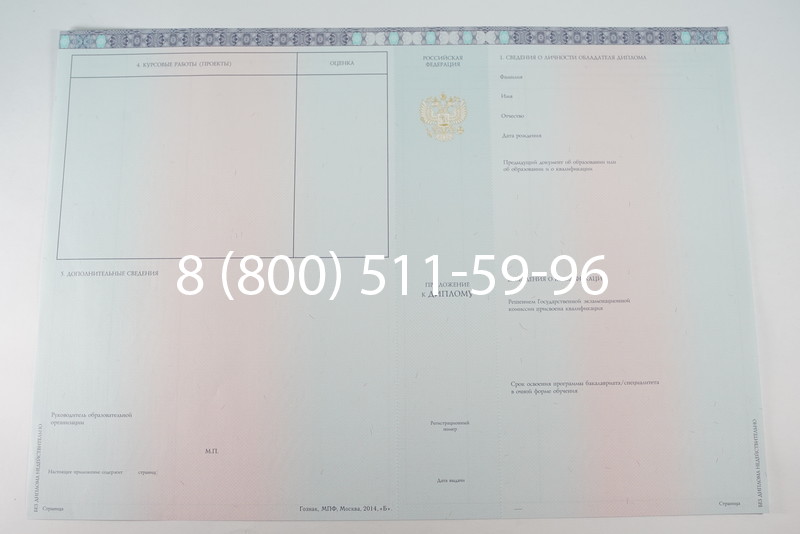Диплом бакалавра 2014-2026 года в Санкт-Петербурге