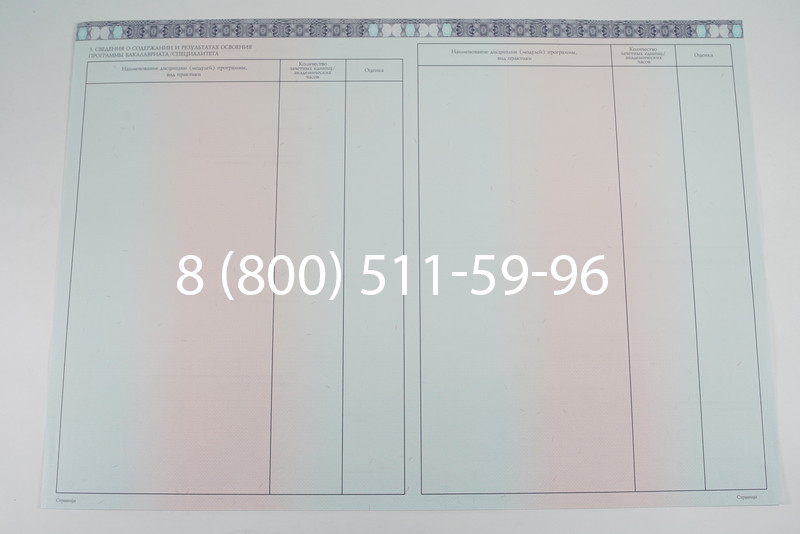 Диплом бакалавра 2014-2026 года в Санкт-Петербурге