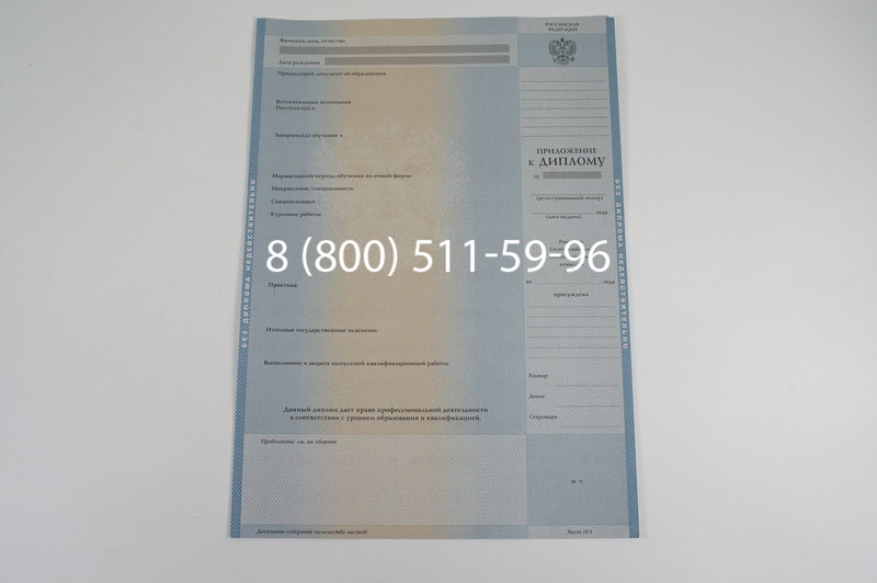 Заказать Диплом бакалавра 1997-2002 годов в Санкт-Петербурге