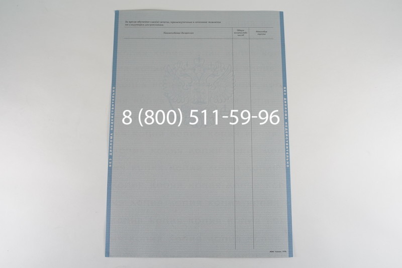 Диплом бакалавра 2003-2009 годов в Санкт-Петербурге