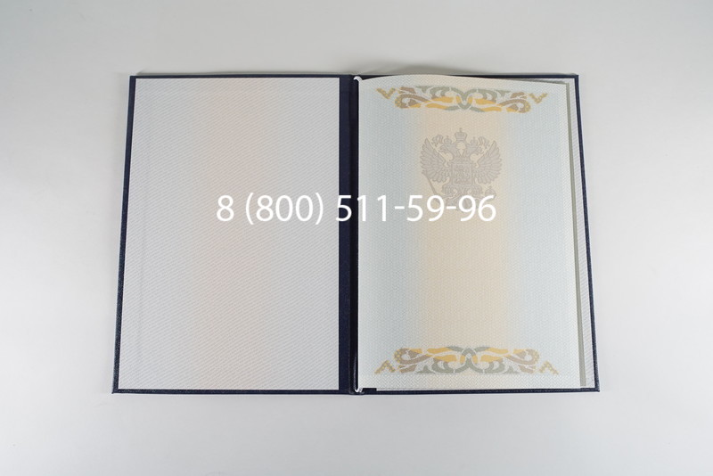 Диплом бакалавра 2003-2009 годов в Санкт-Петербурге