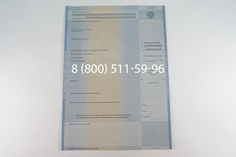 Диплом бакалавра 2003-2009 годов в Санкт-Петербурге