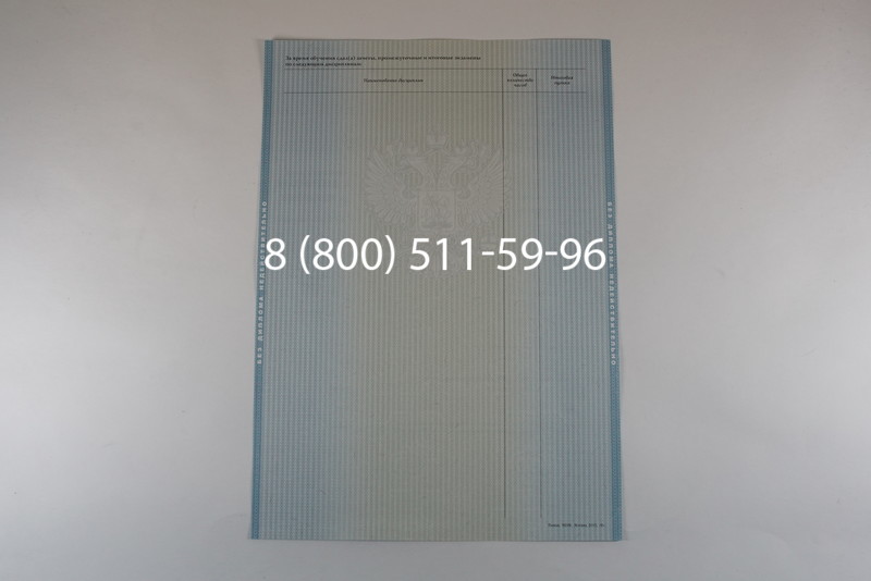 Диплом бакалавра 2012-2013 годов в Санкт-Петербурге