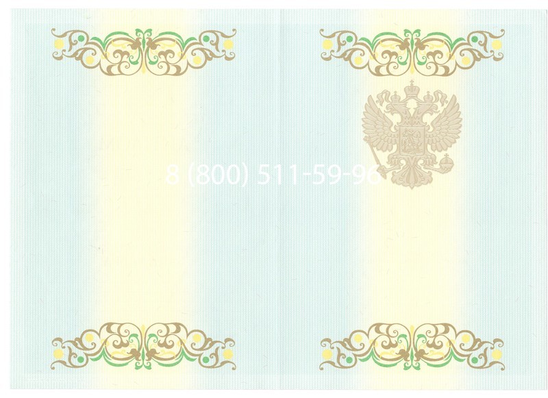 Купить Диплом бакалавра 2012-2013 годов в Санкт-Петербурге