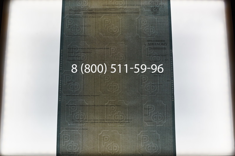 Заказать Диплом бакалавра 2012-2013 годов в Санкт-Петербурге