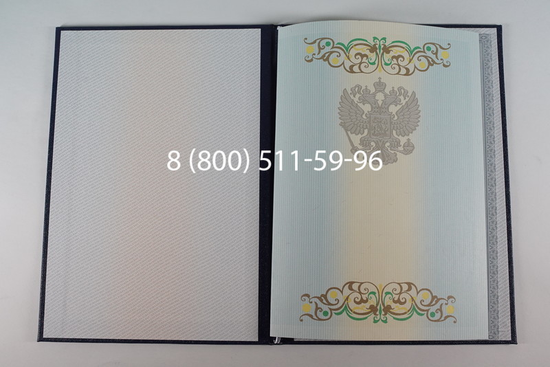 Диплом бакалавра 2012-2013 годов в Санкт-Петербурге