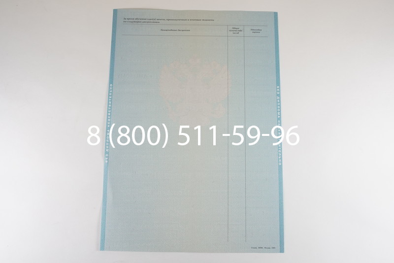 Диплом бакалавра 2010-2011 годов в Санкт-Петербурге