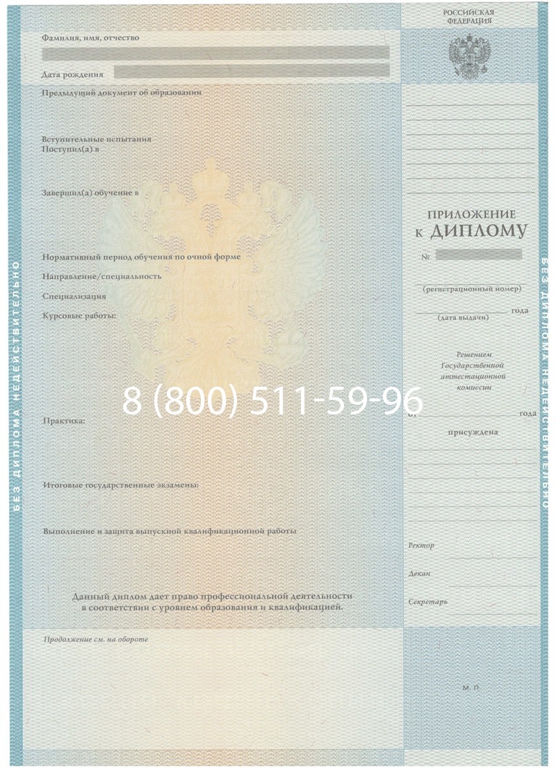 Заказать Диплом бакалавра 2010-2011 годов в Санкт-Петербурге