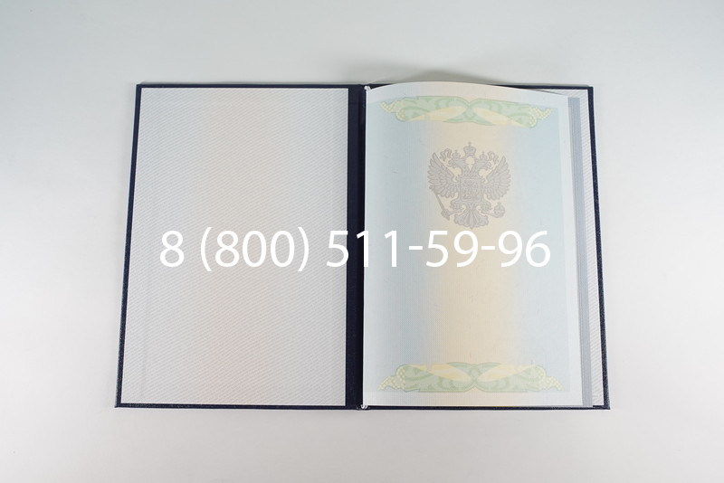 Диплом бакалавра 2010-2011 годов в Санкт-Петербурге