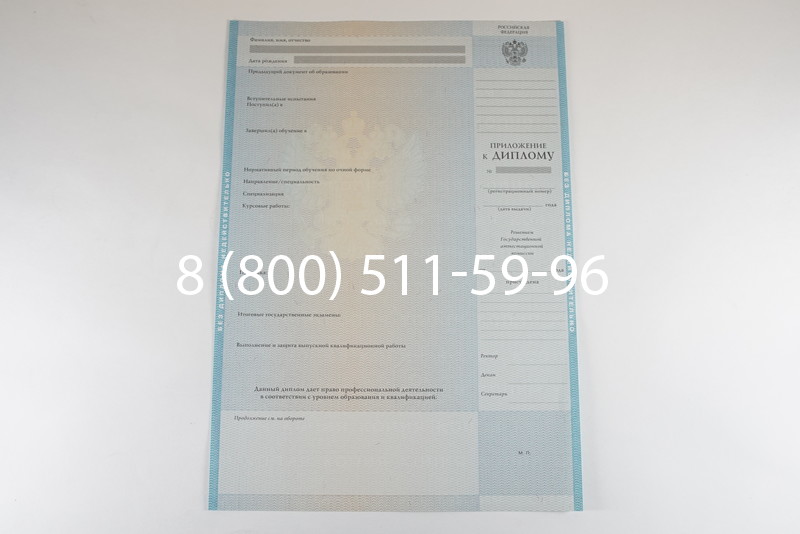 Диплом бакалавра 2010-2011 годов в Санкт-Петербурге