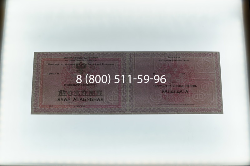 Заказать Диплом кандидата наук 2010 в Санкт-Петербурге