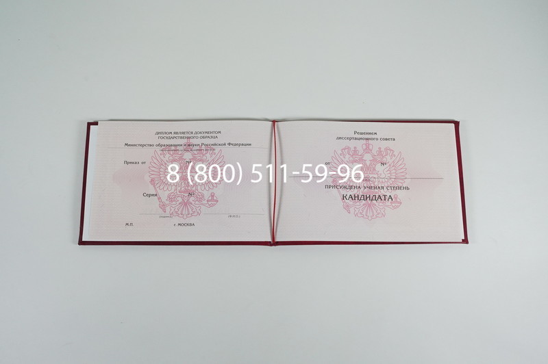 Заказать Диплом кандидата наук 2010 в Санкт-Петербурге