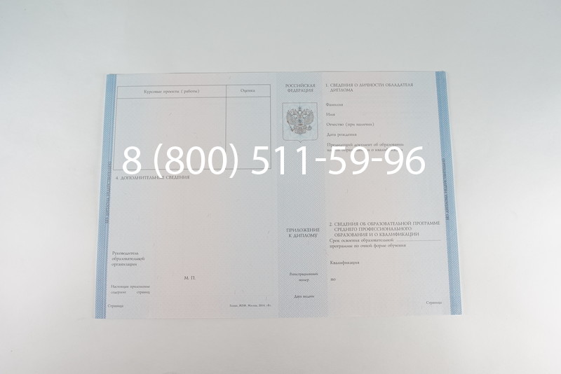 Диплом колледжа 2014-2026 года  в Санкт-Петербурге