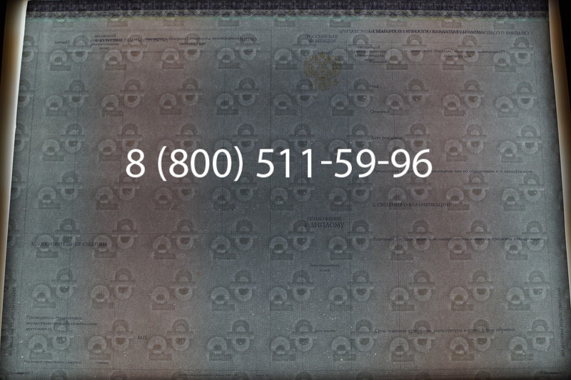 Заказать Диплом магистра (КИРЖАЧ) 2014-2026годов в Санкт-Петербурге