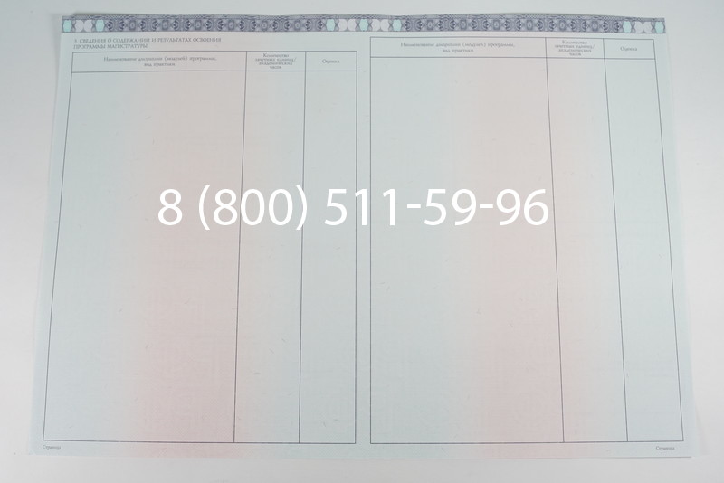 Диплом магистра 2014-2026 года в Санкт-Петербурге