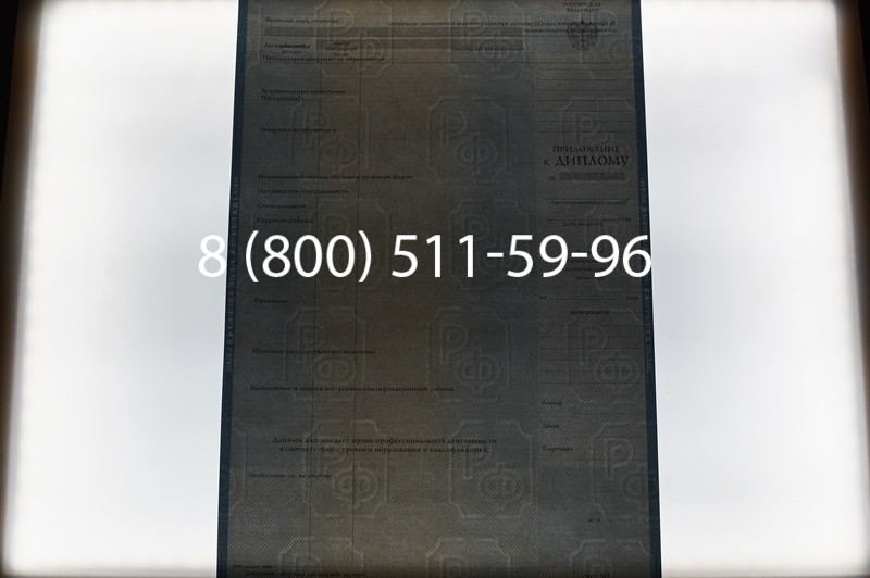 Заказать Диплом магистра 1997-2002 годов в Санкт-Петербурге