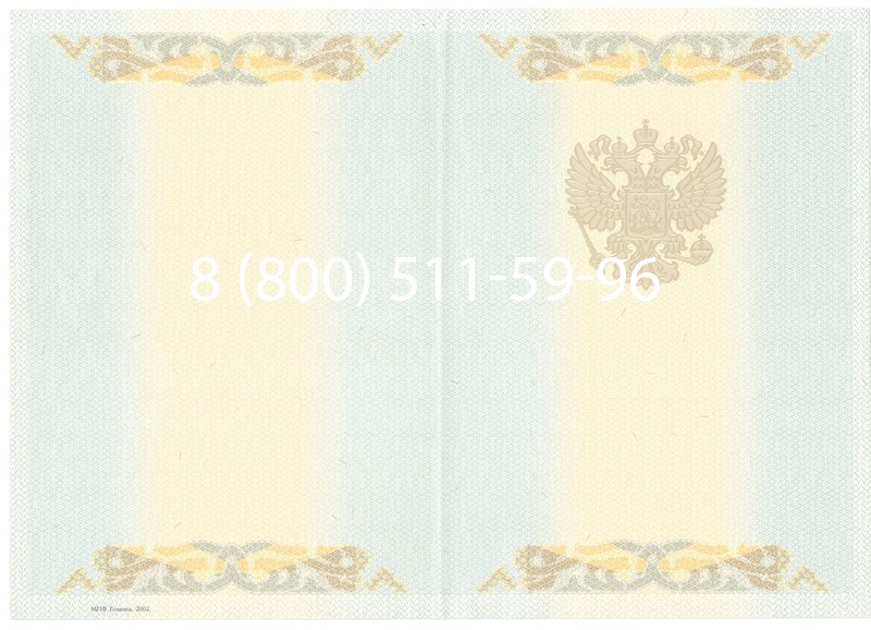 Купить Диплом магистра 2003-2009 годов в Санкт-Петербурге