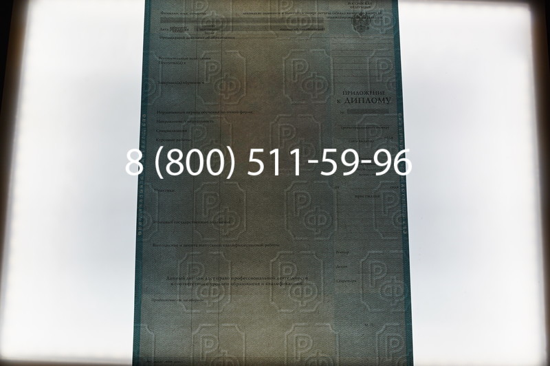 Заказать Диплом магистра 2003-2009 годов в Санкт-Петербурге