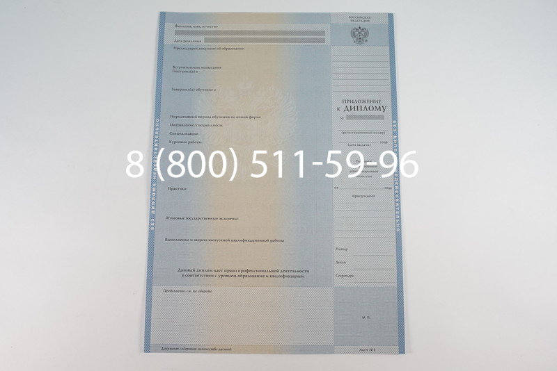 Диплом магистра 2003-2009 годов в Санкт-Петербурге