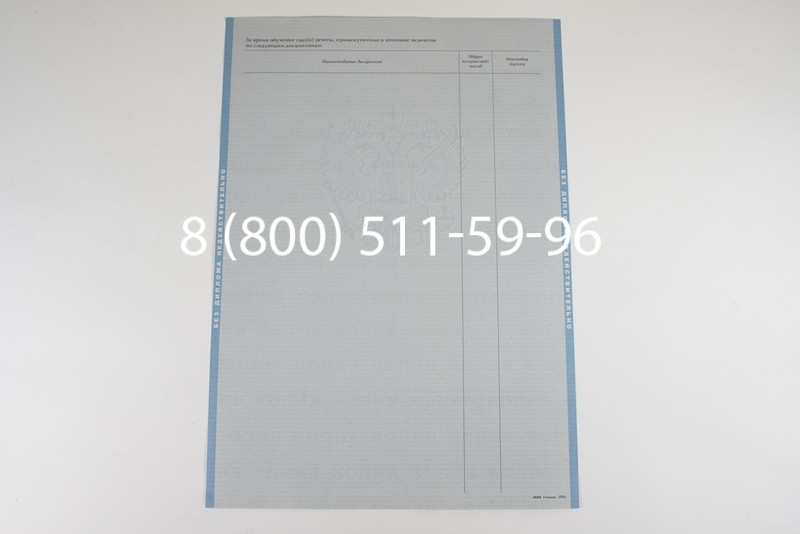 Диплом магистра 2003-2009 годов в Санкт-Петербурге