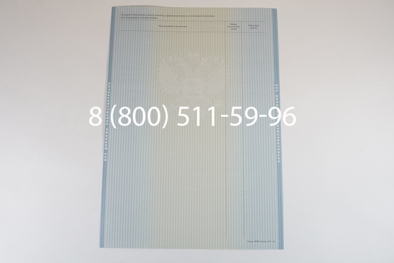 Диплом магистра 2012-2013 годов в Санкт-Петербурге