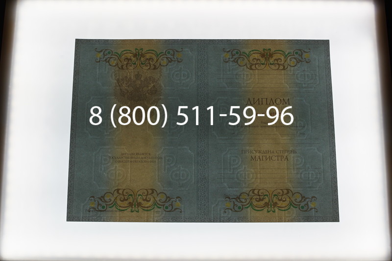 Заказать Диплом магистра 2012-2013 годов в Санкт-Петербурге