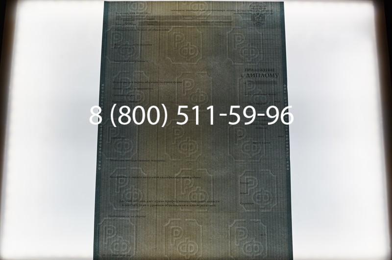 Заказать Диплом магистра 2012-2013 годов в Санкт-Петербурге