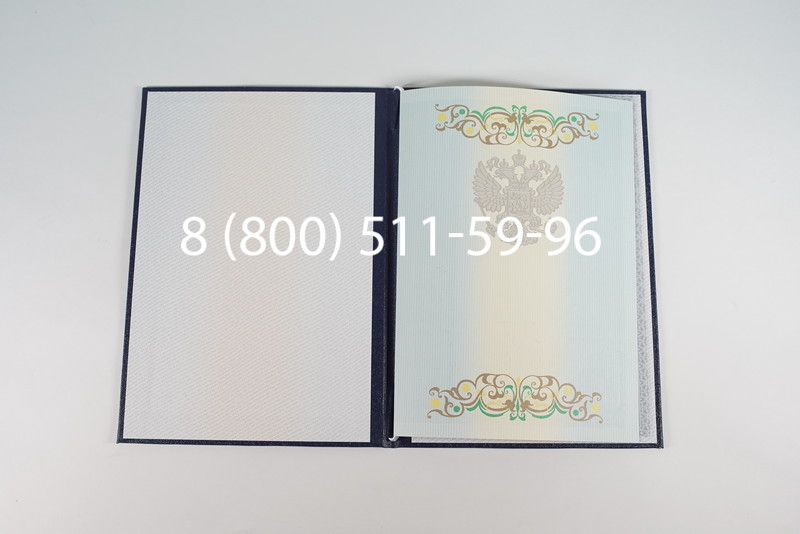 Диплом магистра 2012-2013 годов в Санкт-Петербурге