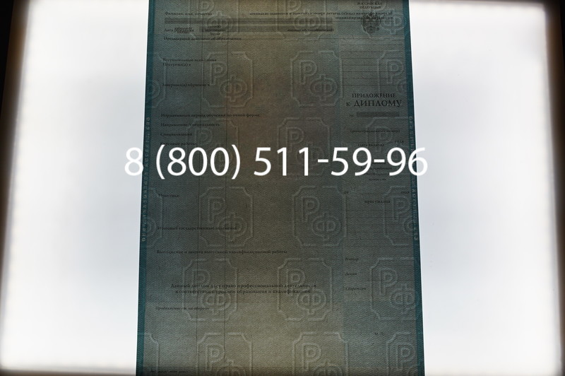 Заказать Диплом магистра 2010-2011 годов в Санкт-Петербурге