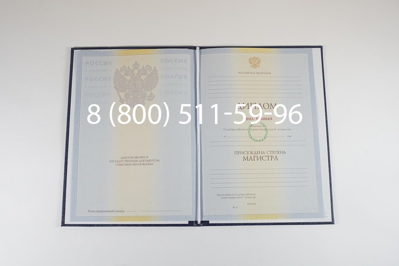 Диплом магистра 2010-2011 годов в Санкт-Петербурге