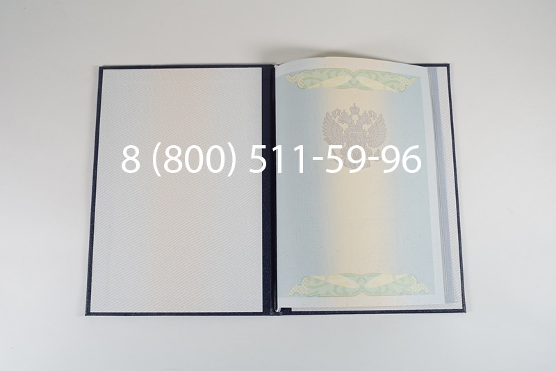 Диплом магистра 2010-2011 годов в Санкт-Петербурге