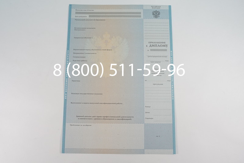 Диплом магистра 2010-2011 годов в Санкт-Петербурге