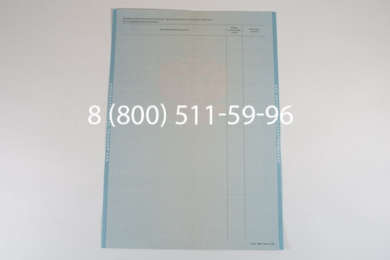 Диплом магистра 2010-2011 годов в Санкт-Петербурге