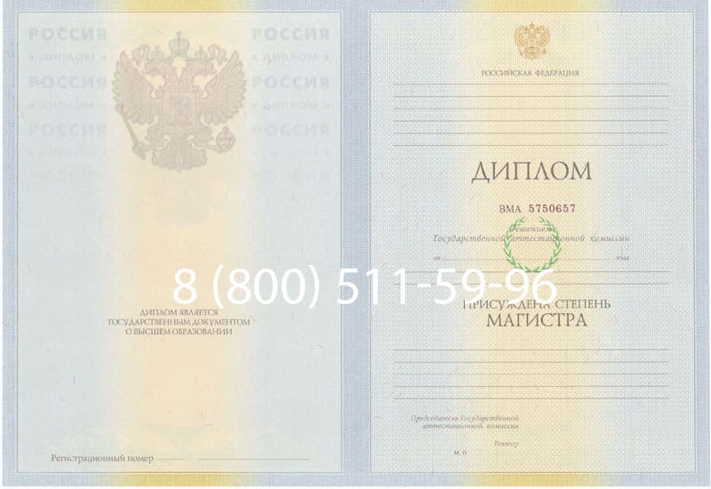 Купить Диплом магистра 2010-2011 годов в Санкт-Петербурге