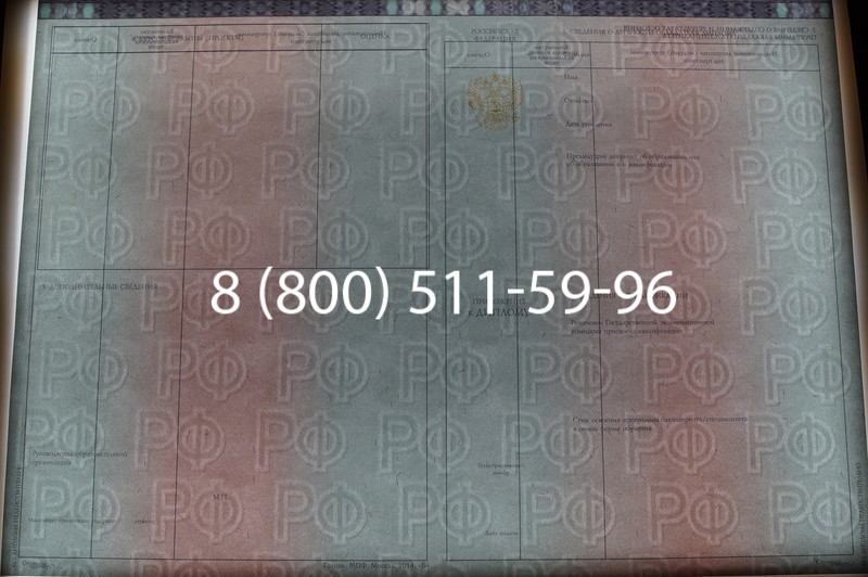 Заказать Диплом о высшем образовании 2014-2026 годов в Санкт-Петербурге