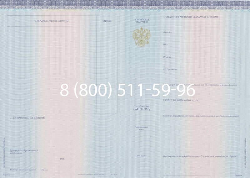 Заказать Диплом о высшем образовании (Киржач) 2014-2026 годов в Санкт-Петербурге