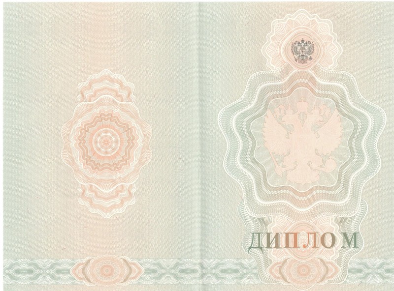 Купить Диплом о начальном образовании  2007-2009 годов в Санкт-Петербурге