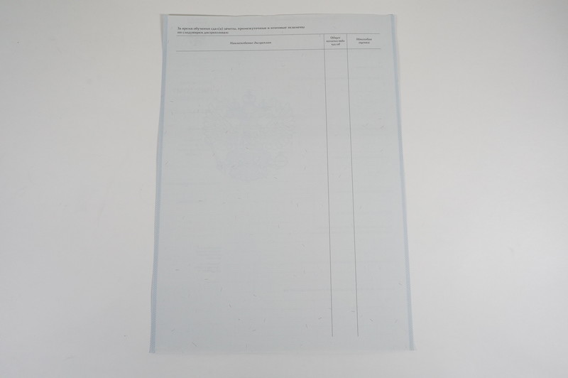 Диплом о начальном образовании  2007-2009 годов в Санкт-Петербурге
