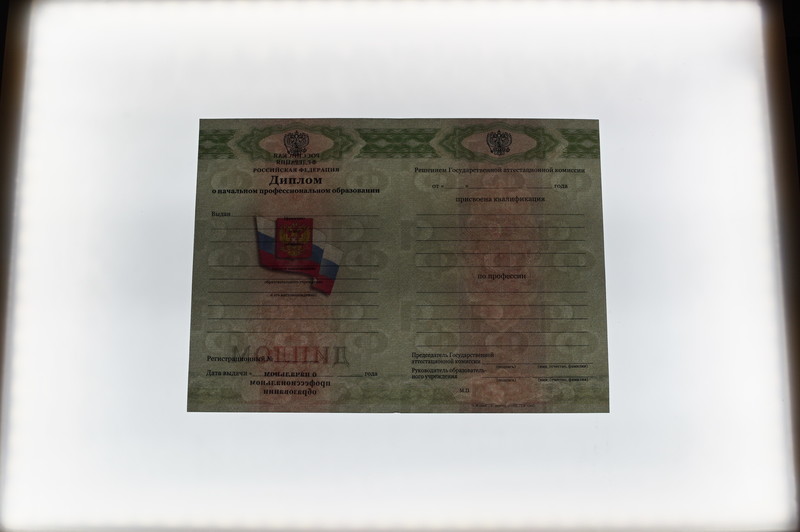 Заказать Диплом о начальном образовании  2010-2026 годов в Санкт-Петербурге