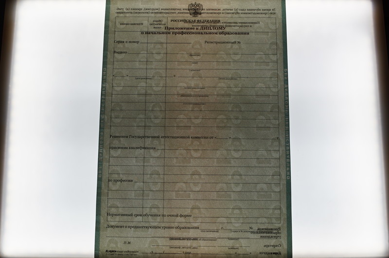 Заказать Диплом о начальном образовании  2010-2026 годов в Санкт-Петербурге