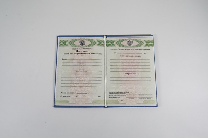 Диплом о начальном образовании  2010-2026 годов в Санкт-Петербурге