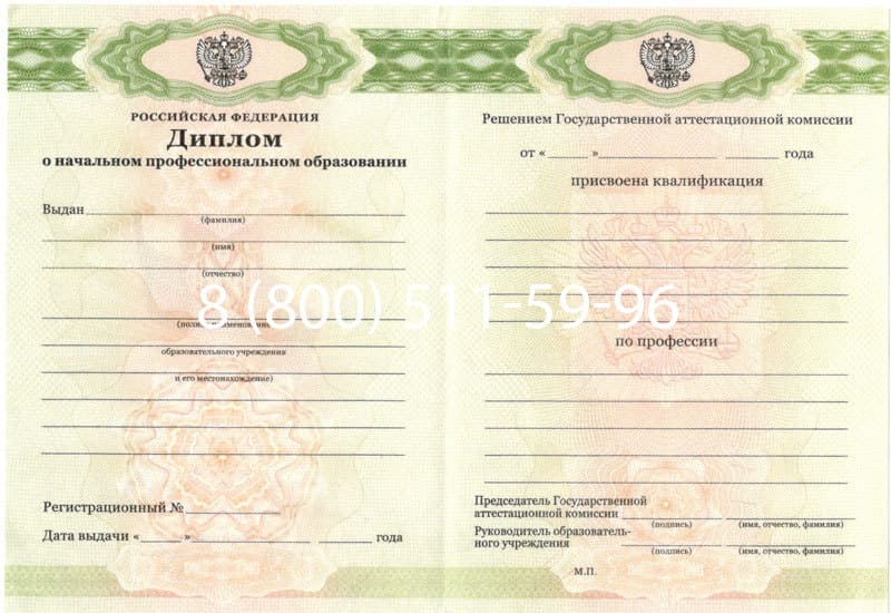 Купить Диплом о начальном образовании  2010-2026 годов в Санкт-Петербурге