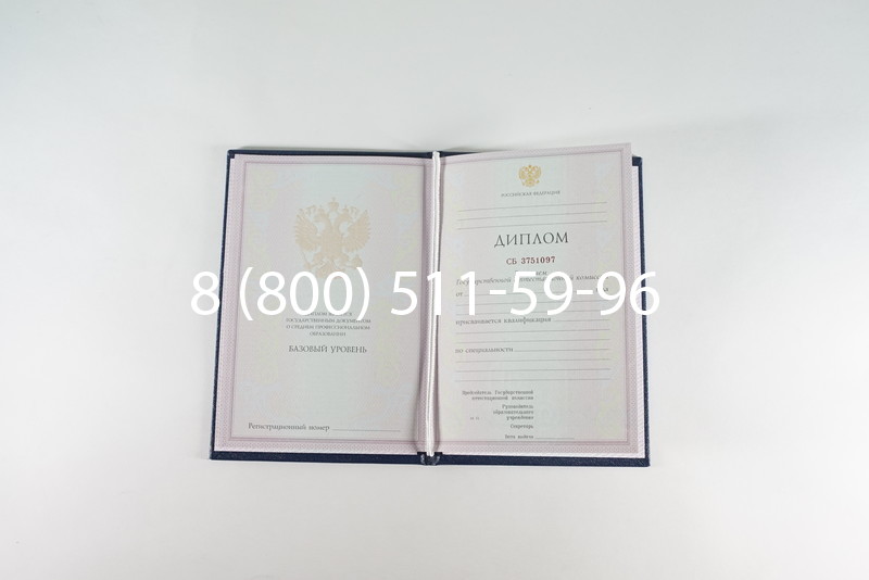 Диплом о среднем образовании 2003-2006 годов в Санкт-Петербурге