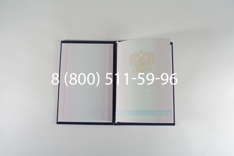 Диплом о среднем образовании 2003-2006 годов в Санкт-Петербурге